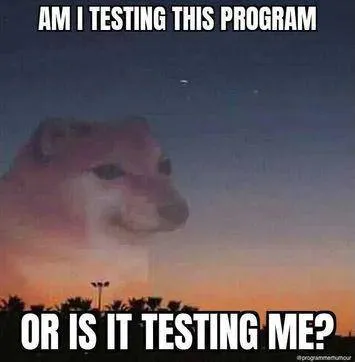 Am I Testing the Program?