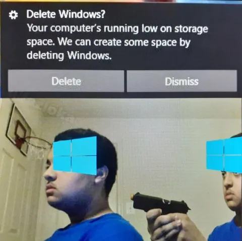 Delete Windows Low Storage