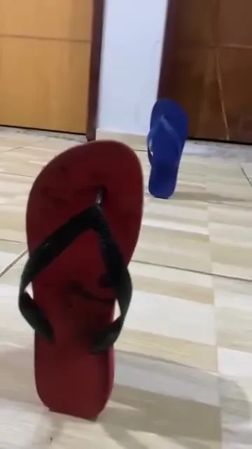 Эпичная битва тапочек