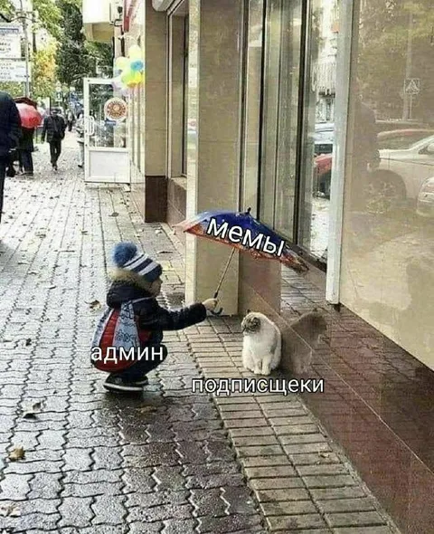 Админ укрывает подписчиков мемами