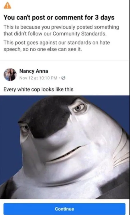 Every White Cop Looks Like This