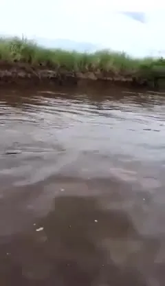 Рыбалка с неожиданным выстрелом