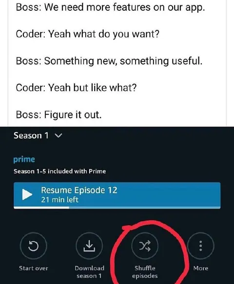 Boss Asks Coder for New Features