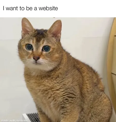I Want to Be a Website Cat