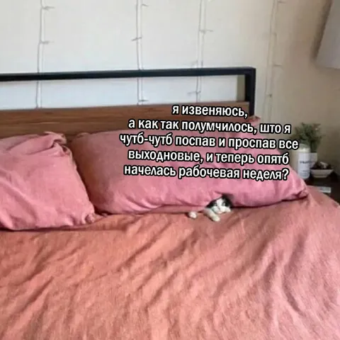 Проспал все выходные