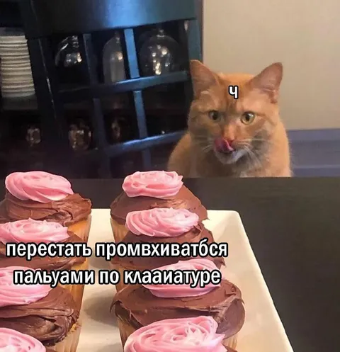 Кот перестаёт промахиваться
