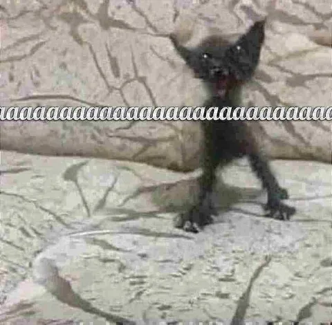 Tiny Monkey Screaming Haaaa