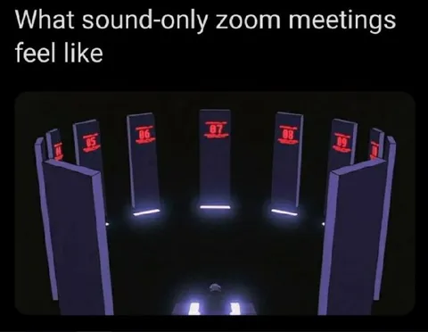 Sound-Only Zoom Meetings