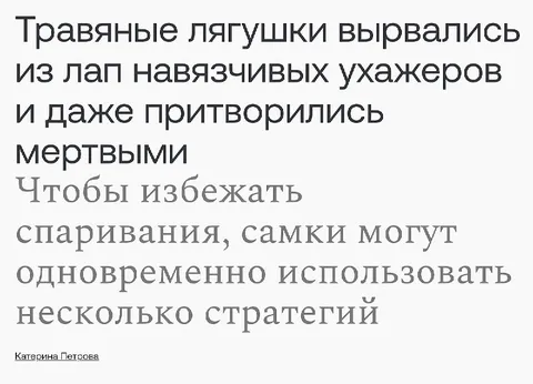 Лягушки притворились мёртвыми