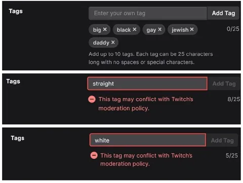 Twitch Tags Moderation Policy