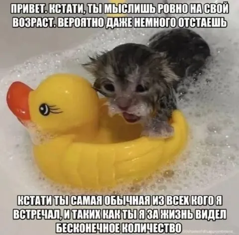 Котёнок в жёлтой уточке