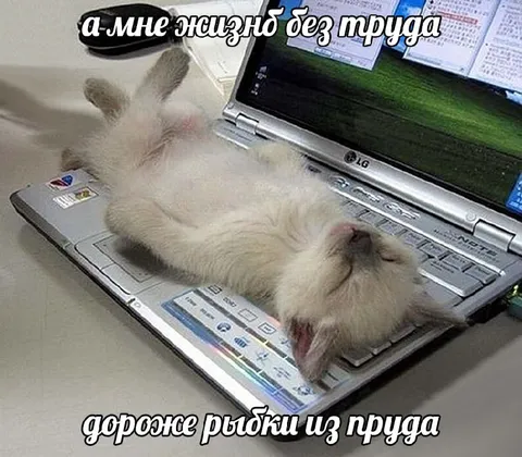 Жизню без труда дороже рыбки