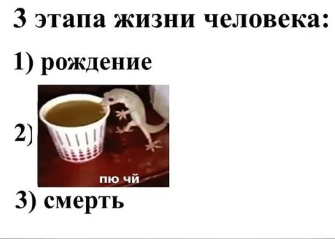 Три этапа жизни человека