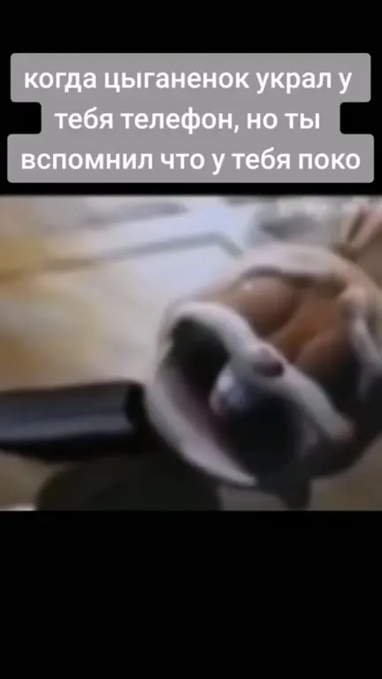 Цыганёнок украл телефон
