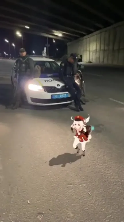 Кли танцует перед полицией