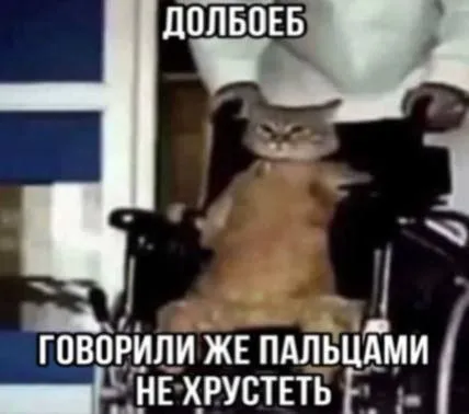Кот, который хрустит пальцами