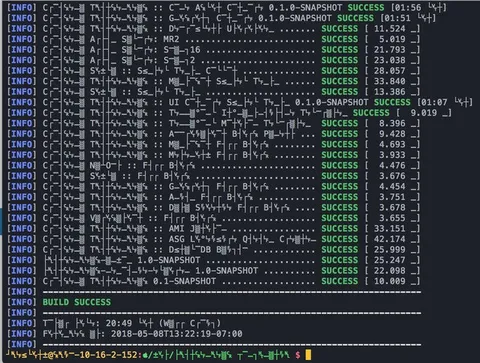 Build Success Terminal