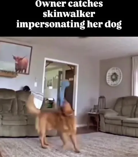 Dog Pretends to Be a Skinwalker