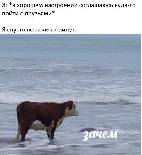 Передумал идти с друзьями