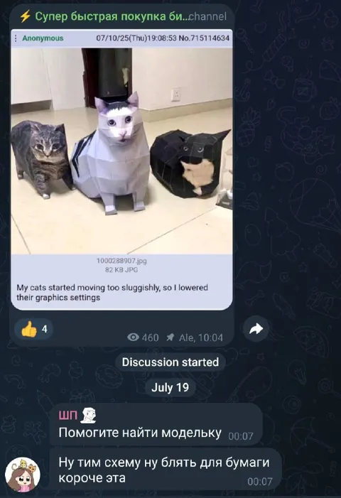 Cats With Lowered Graphics Settings