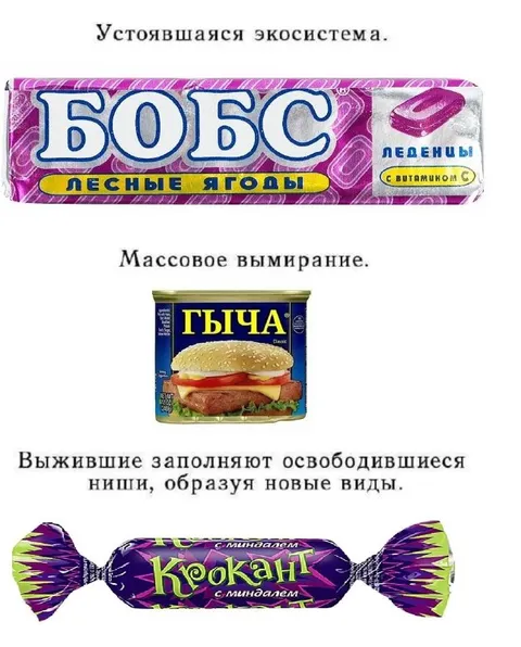 Устоявшаяся экосистема и выжившие