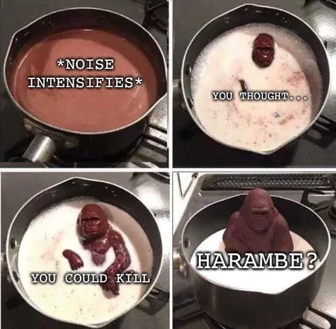 Harambe in the Pan