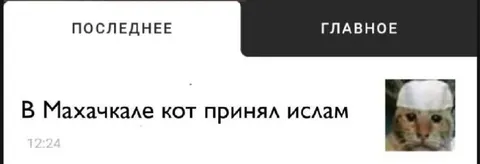 Кот принял ислам в Махачкале