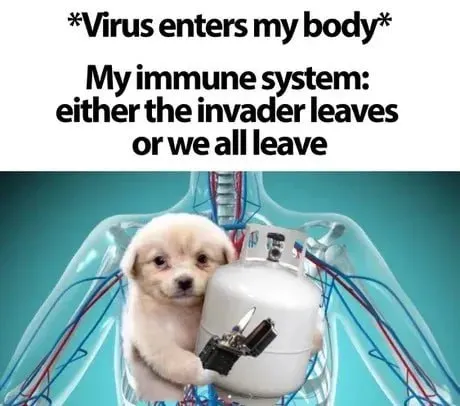 Immune System Takes Everyone Down