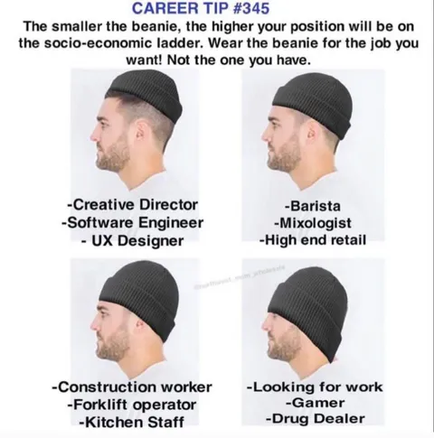 Beanie Socioeconomic Ladder