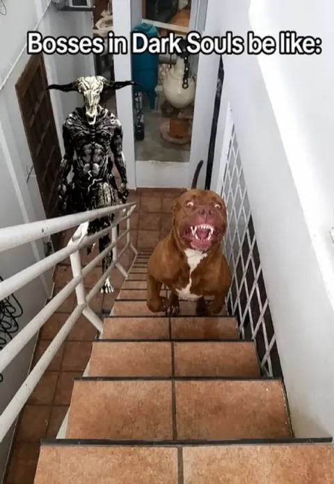 Dark Souls Bosses Be Like