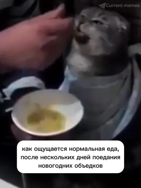 Нормальная еда после новогодних объедков