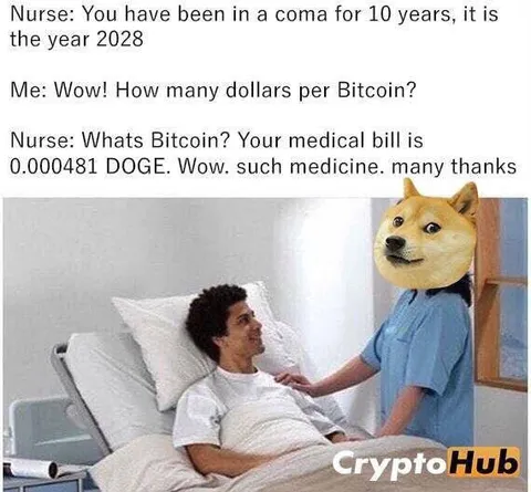 Doge Pays the Medical Bill