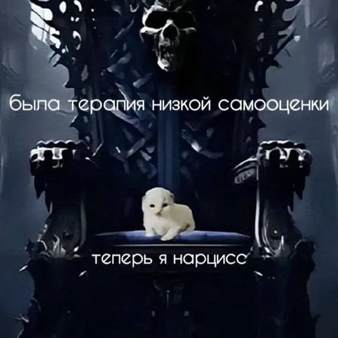 Котёнок стал нарциссом