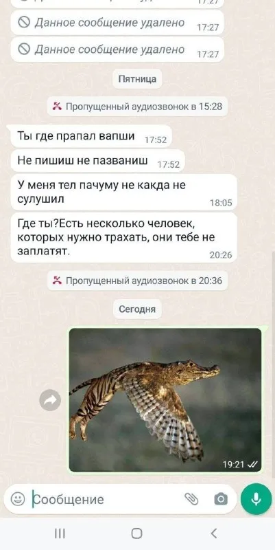 Крокодил вместо ответа