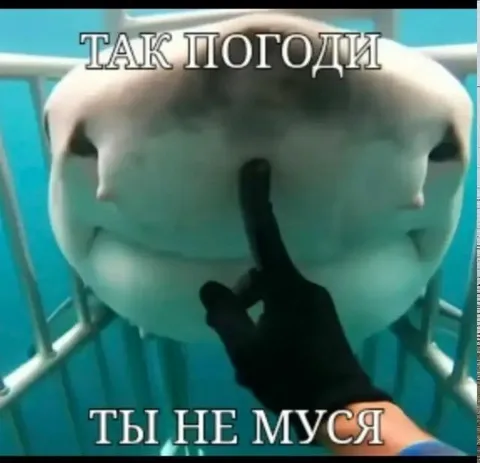 Так погоди, ты не Муся
