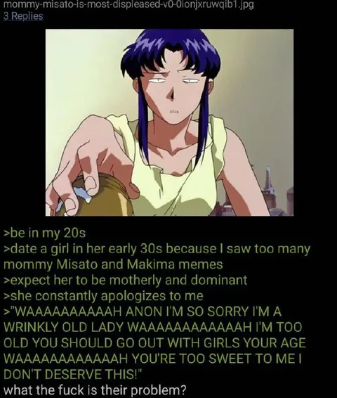 Misato Meme Expectations Gone Wrong