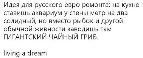 Гигантский чайный гриб в стене