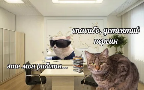 Спасибо, детектив Першик