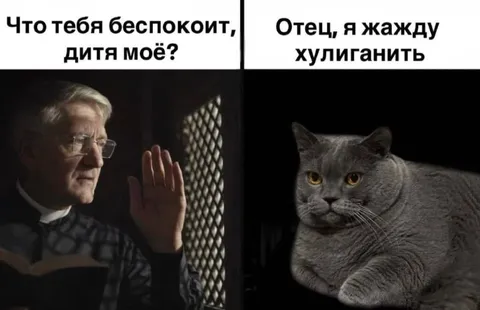 Кот хочет хулиганить