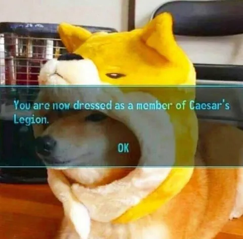 Dog Dressed as Caesar's Legion