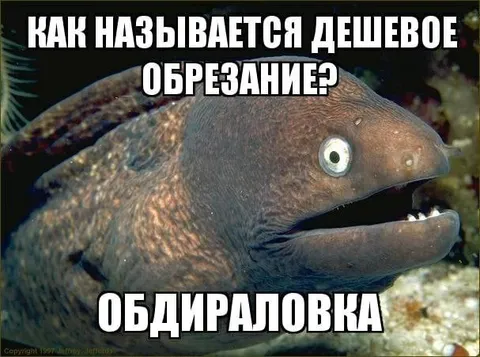 Дешевое обрезание — обдираловка