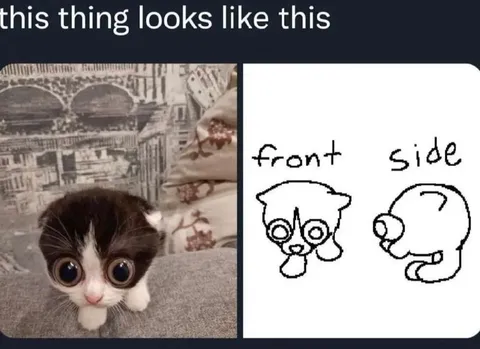 This Thing Looks Like This
