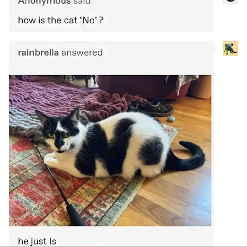 The Cat Is Just No