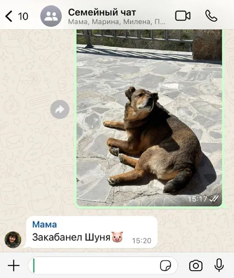 Закабанел Шуню