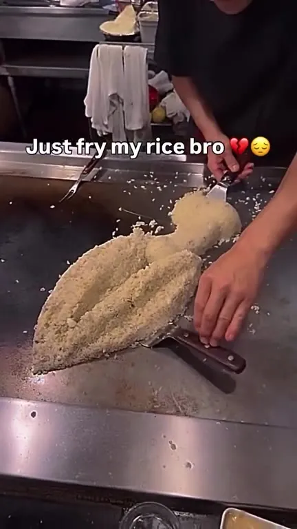 Just Fry My Rice Bro