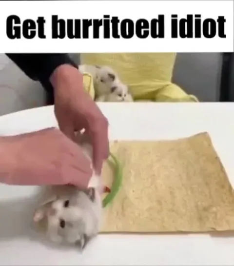 Get Burritoed Idiot