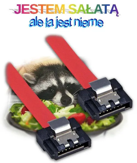 Jestem sałatą, ale ta jest nieme