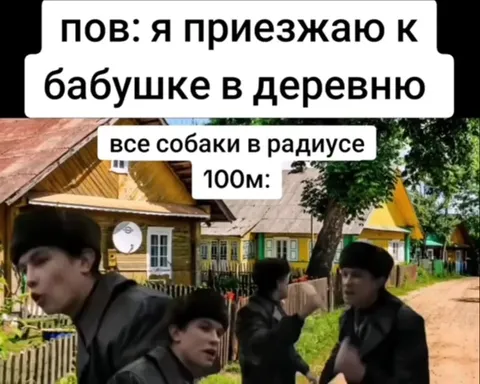 Все собаки в радиусе 100 метров