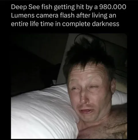 Deep Sea Fish Hit by Camera Flash