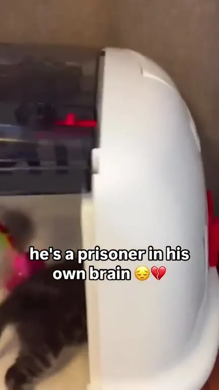 Prisoner in His Own Brain